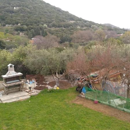 Martha'S Villa Nea Iraklitsa Esterno foto