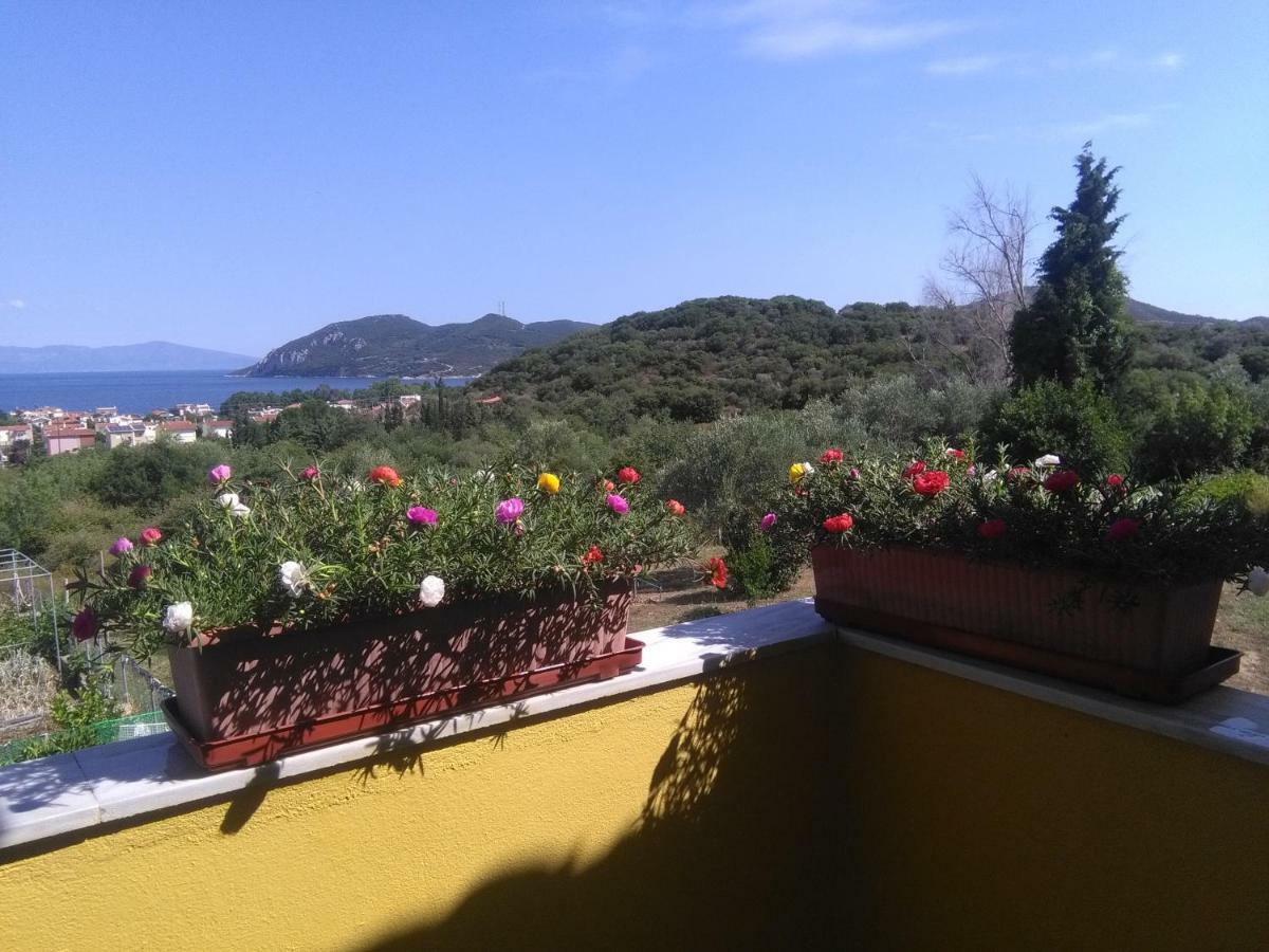 Martha'S Villa Nea Iraklitsa Esterno foto