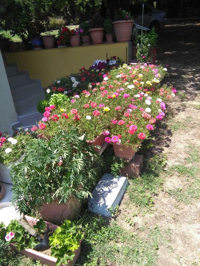 Martha'S Villa Nea Iraklitsa Esterno foto