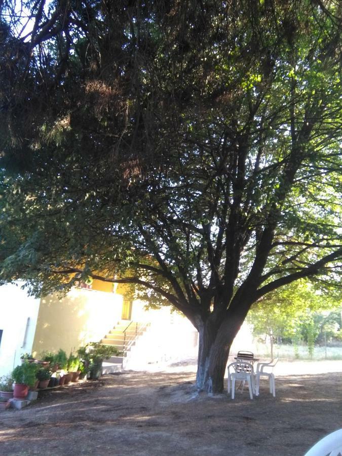 Martha'S Villa Nea Iraklitsa Esterno foto